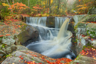 Waterfall forest fall leaves rocks - fall free wallpaper for desktop