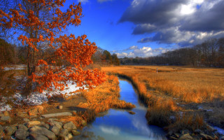 Stream dry grass cloudy sky - a few cloud above free wallpaper