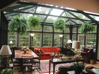 Living room couch windows plants - open ceiling free wallpaper