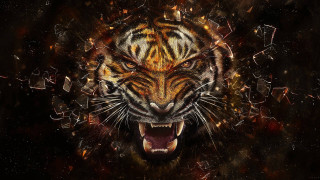 Tiger mouth open teeth wide - tooth wide free wallpaper