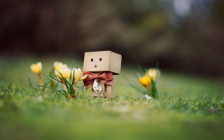 Cardboard toy bow grass flowers - a face free wallpaper for desktop