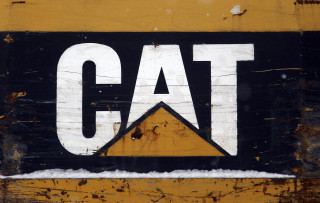 Cat sign closeup triangle bottom - the bottom free wallpaper