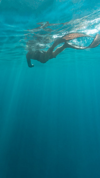 Person swimming ocean long tail - tail free wallpaper