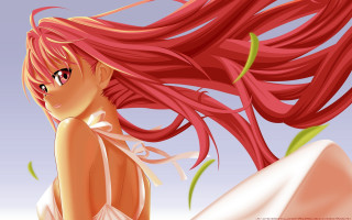 Girl red hair wind camera - fantastic free wallpaper for desktop