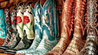 Cowboy boots shelf flowers rose - a rose free wallpaper