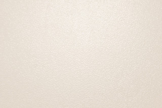 White background bw cats postminimalism - the right side of the image free wallpaper