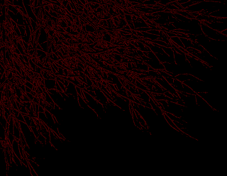 Black red branches autumn forest - clyfford still free wallpaper