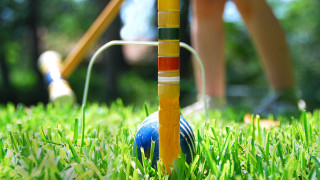 Person playing toy grass pole - a toy free wallpaper