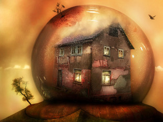 House glass ball tree bird - inside free wallpaper