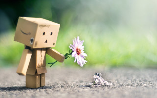 Toy flower frog road grass - ding guanpeng free wallpaper for desktop