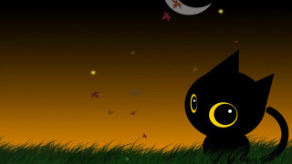 Black cat grass crescent moon - chiho aoshima free wallpaper