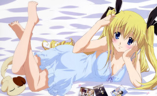 Alice prin laying bed stuffed - her chest free wallpaper