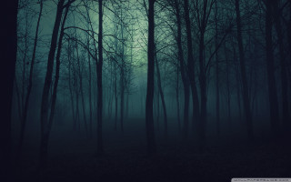 Dark forest foggy sky trees 3 - a full moon in the distance free wallpaper