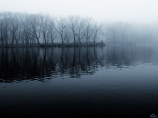 Lake trees fog water foreground - tonalism free wallpaper