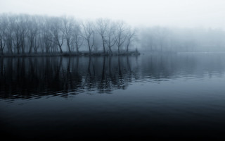 Lake trees fog water reflections - gloomy atmosphere free wallpaper