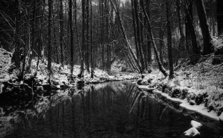 Winter forest stream bw nature - a small stream free wallpaper