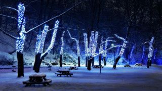 Snowy park glowing lights night - covered free wallpaper