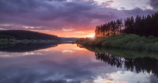 Lake sunset trees forest background - the foreground and a forest in the background free wallpaper