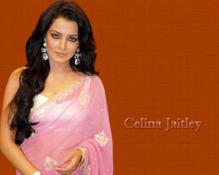 Woman pink sari posing brown - a pink sari free wallpaper
