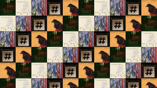 Black bird yellow background pattern - flavia bloi free wallpaper for desktop