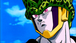 Person hat leopard scarf sky - cell free wallpaper for desktop