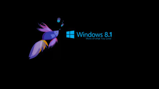 Colorful bird flying windows8 logo - lostfish free wallpaper for desktop