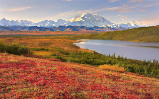 Mountain lake redflowers evening sunset - red flower free wallpaper