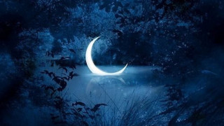 Crescent moon night sky forest - arthur pan free wallpaper