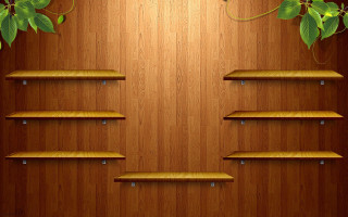 Wooden shelf plant wooden wall - a wooden shelf free wallpaper