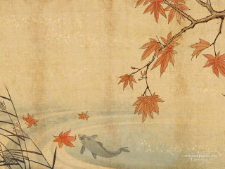 Fish pond leaves tree branch 3 - tranquil free wallpaper