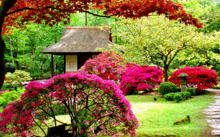 Garden small house trees flowers 3 - a garden free wallpaper