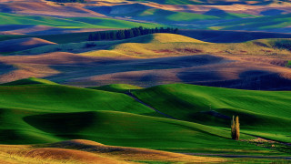 Green field fence hills background - in the middle of it free wallpaper