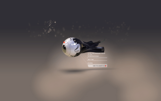 Computer screen mouse webpage cat - a picture of a cat free wallpaper