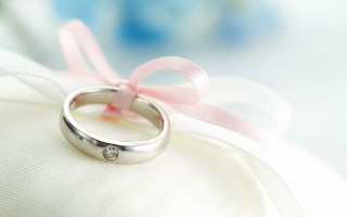 Wedding ring pink ribbon pillow - a flower in the background free wallpaper