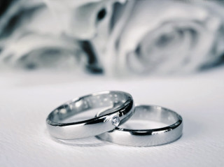 Wedding rings rose background foreground - a white surface free wallpaper