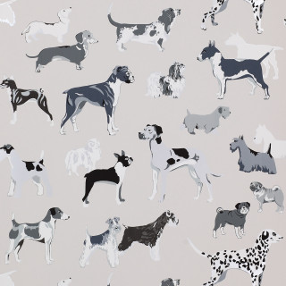 Dogs group grass wallpaper background - free dogs wallpaper for tablet