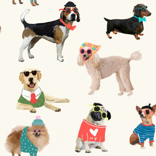 Dogs fashion accessories heart collar - free dogs wallpaper for tablet