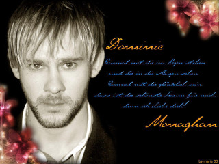 Bearded man suit flower poster - dom qwek free wallpaper for desktop