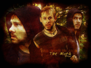 Men standing forest trees group - the word free wallpaper for desktop