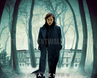 Woman coat woods house fog - a house in the background free wallpaper