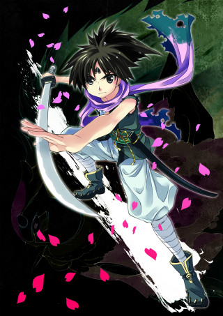 Anime character sword dress fantasy - pink petal free wallpaper for mobile