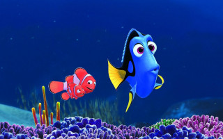 Blue fish red fish swimming - abidin dino free wallpaper