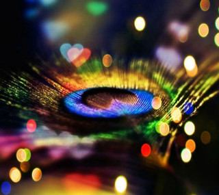 Peacock feather blurry background lights - free light wallpaper for tablet