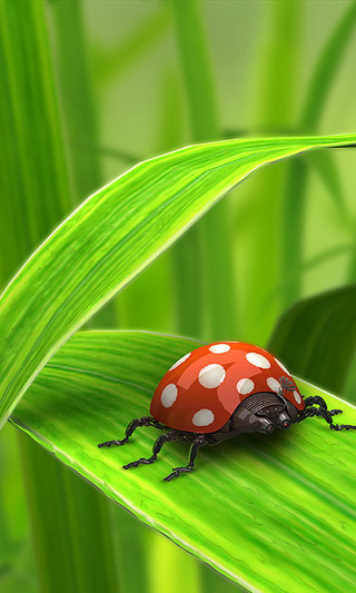 Ladybug green leaf grass ladybug - digital painting free wallpaper for mobile