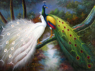 Peacocks tree branch water stream - a stream of water free wallpaper