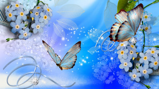 Blue background white flowers butterflies 2 - anne stokes free wallpaper for desktop