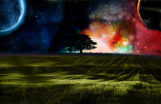 Tree field stars planets bright - star and planets free wallpaper