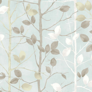 Tree leaves sky background light - free flowers wallpaper for tablet