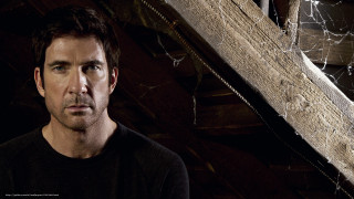 Man wooden structure spider web - a wooden structure free wallpaper