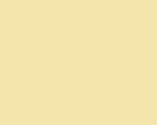 Yellow border minimalist neutral fanqi - dull free wallpaper